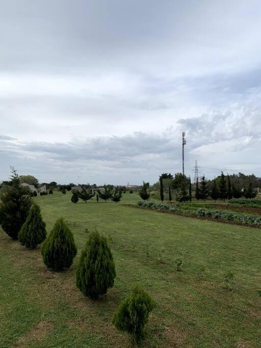Fraschi Countryhouse Carpignano Salentino Exteriör bild